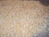 dsc00064